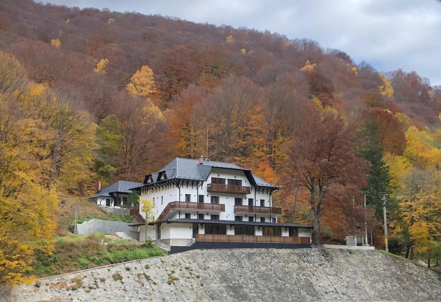 阿雷富 Poiana Mucenicului酒店 外观 照片