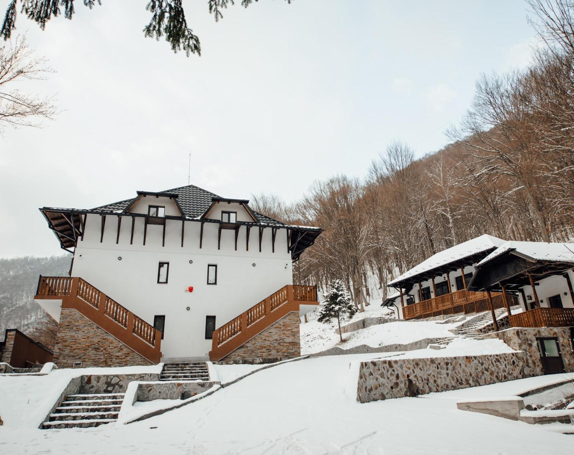 阿雷富 Poiana Mucenicului酒店 外观 照片