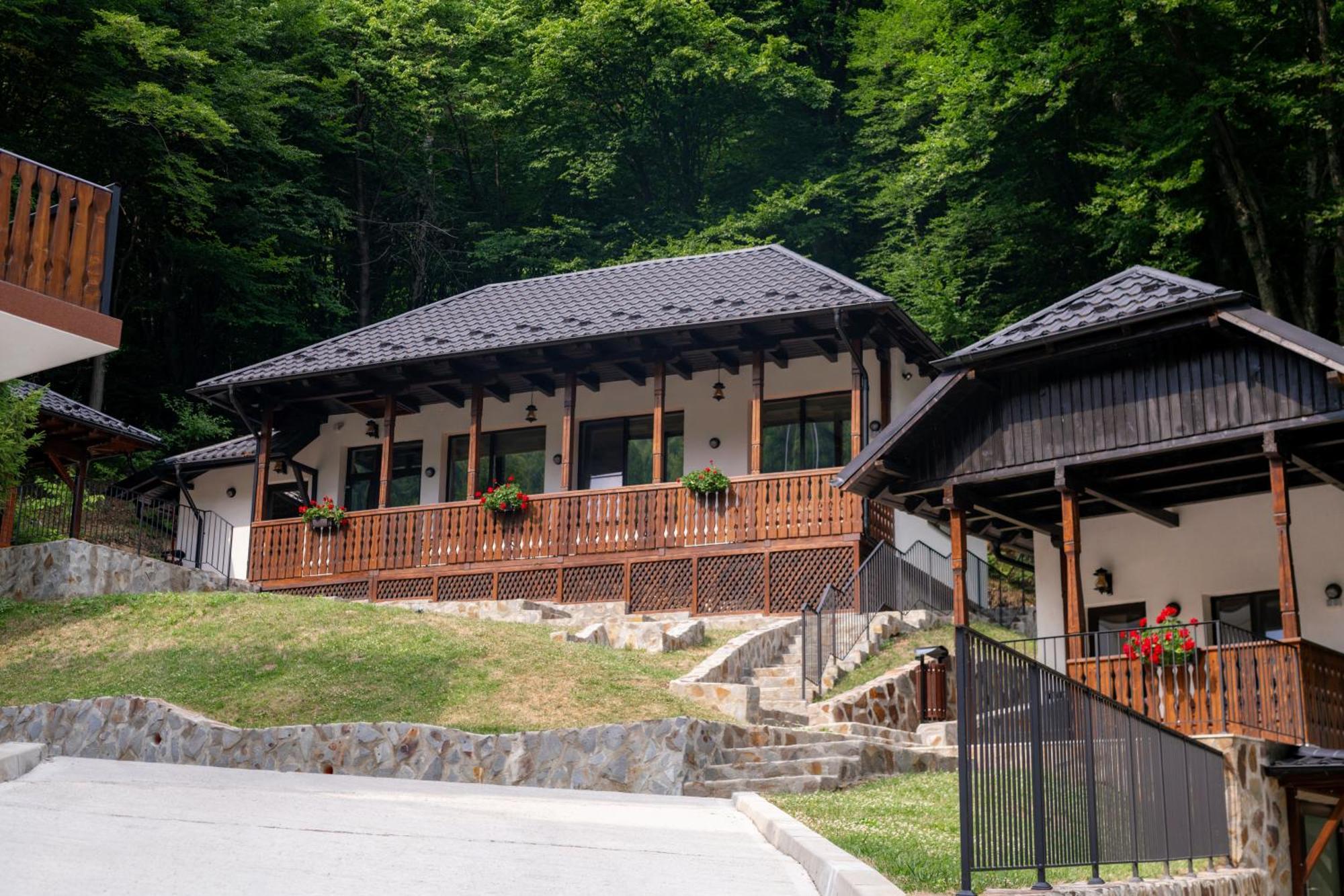 阿雷富 Poiana Mucenicului酒店 外观 照片